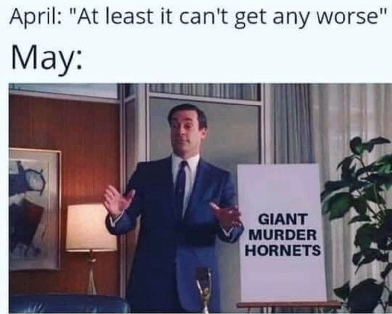 Seeking to break the news cycle with some levity, the internet responded.